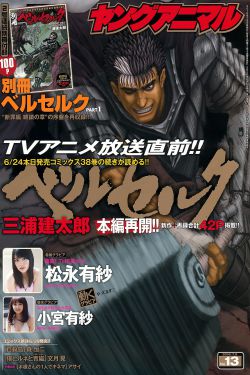 公安局长第三部